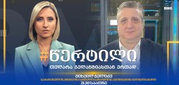 მიხეილ ჭელიძე