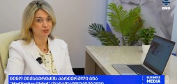 ნინო მიქაბერიძის პროფესიული კარიერა- Medveritas Global, თანადამფუძნებელი