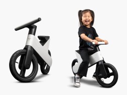 Tesla Bicycle