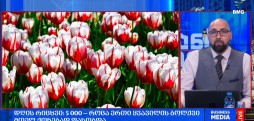 დღის რიცხვი