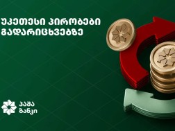უფასო ლარისა და დოლარის გადარიცხვები ბიზნესისთვის