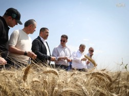 შალვა პაპუაშვილი დავით სონღულაშვილი ხორბალი