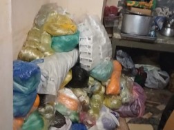 თევზის სახლი