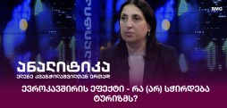ევროკავშირის ეფექტი - რა (არ) სჭირდება ტურიზმს?
