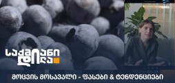 ეკატერინე ვეფხვაძე
