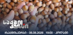 #საქმისკურსი - 06.08.2026 _19:00 - კოლაჟი