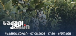 #საქმისკურსი - 07.08.2026 _17:30 - კოლაჟი