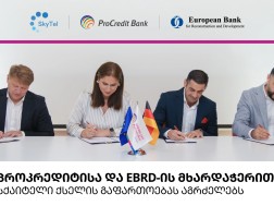 ალკის ვრიენიო