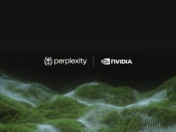 perplexity