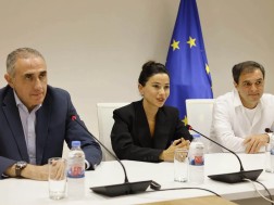 სახელმწიფო ელექტროსისტემა