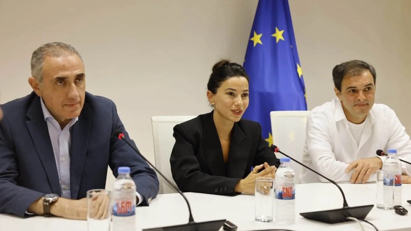 სახელმწიფო ელექტროსისტემა