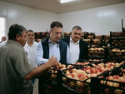 დავით სონღულაშვილი ატამი