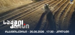#საქმისკურსი