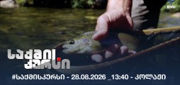#საქმისკურსი