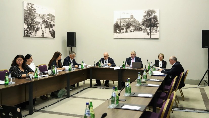 პროფესიული განვითარების საბჭოს