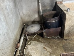 ფრინველების სასაკლაო