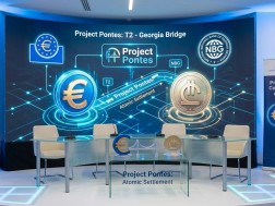 Project Pontes