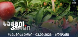 #საქმისკურსი - 03.09.2026 - კოლაჟი