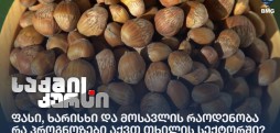 ფასი, ხარისხი და მოსავლის რაოდენობა - რა პროგნოზები აქვთ თხილის სექტორში?