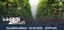 #საქმისკურსი - 04.09.2026 - კოლაჟი