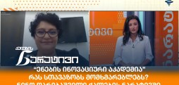 ნინო ღარიბაშვილი