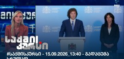საქმის კურსი