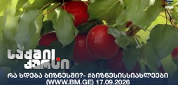#ბიზნესისსიახლეები