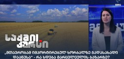 მარცვლეულის ბაზარი