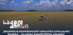 მარცვლეულის ბაზარი