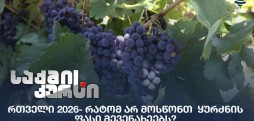 რთველი 2026