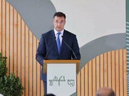 დავით სონღულაშვილი
