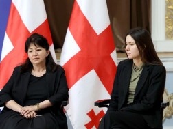 მინისტრის მოადგილეები