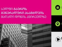 Სელფი გაეროს გენერალური ასამბლეის მაღალი დონის კვირეულის მონაწილეა