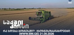 #ბიზნესისსიახლეები