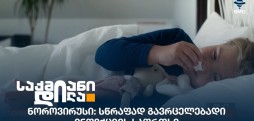 ნოროვირუსი