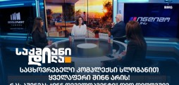 ინნ დეველოპმენტი