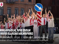 საქართველოს ნაკლები