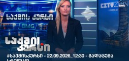 საქმის კურსი