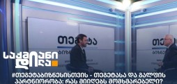 მიხეილ ვაშაკიძე