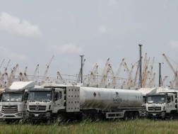 dangote
