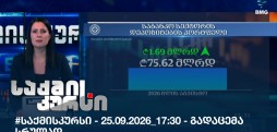 საქმის კურსი