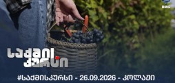 #საქმისკურსი - 26.09.2026 - კოლაჟი