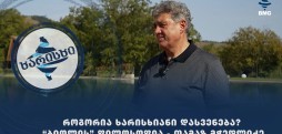 როგორია ხარისხიანი დასვენება? - ბიოლის ფილოსოფია / თამაზ მჭედლიძე