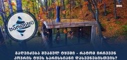 გაღვიძება შუაგულ ტყეში - რატომ ირჩევენ კოჯრის ტყეს ხარისხიანი დასვენებისთვის?