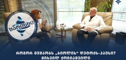 როგორ მუშაობს „ბიოლის“ დეტოქს-ჰაუსი? - მიხეილ ქოჩიაშვილი