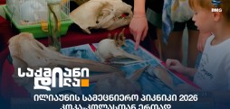 ილიაუნის სამეცნიერო პიკნიკი 2026