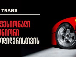 Lion Trans