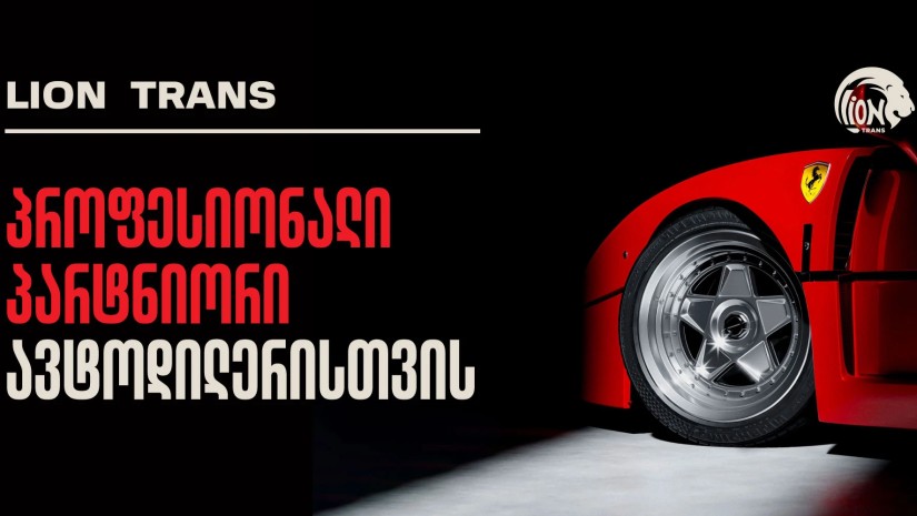 Lion Trans