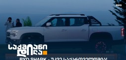 BYD Shark
