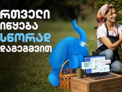 ყურძნიდან ბოთლამდე: როგორ ეხმარება ERP სისტემა მეღვინეობასა და სხვა დარგებს